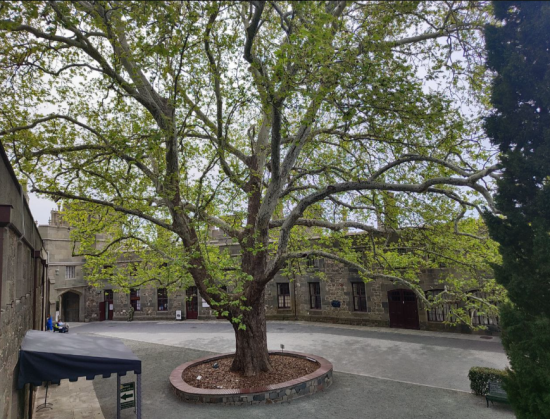 Уважаемые посетители!