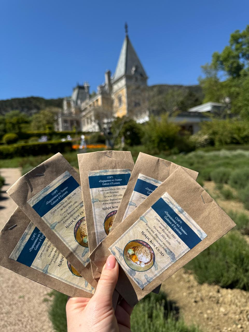 Подробнее о статье В «Саду ароматов» Массандровского дворца состоялся посев семян старинного французского сорта тыквы «Паршивка из Эзина» селекции 1885 г.