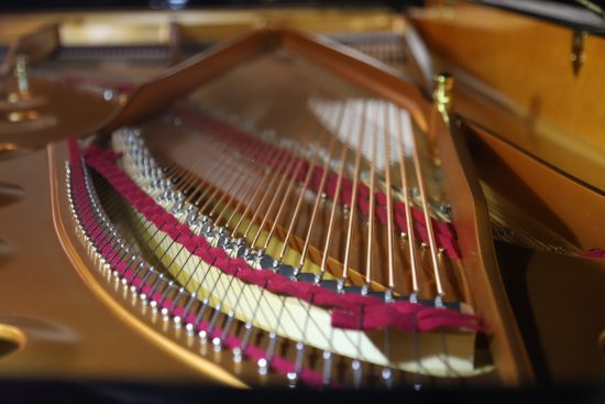 «Парад духовых» от Санкт-Петербургского Дома музыки в Воронцовском дворце