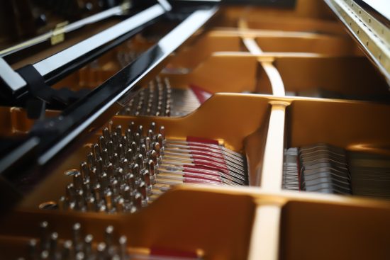 Открытие концертного сезона 2026 «Фортепианный марафон»