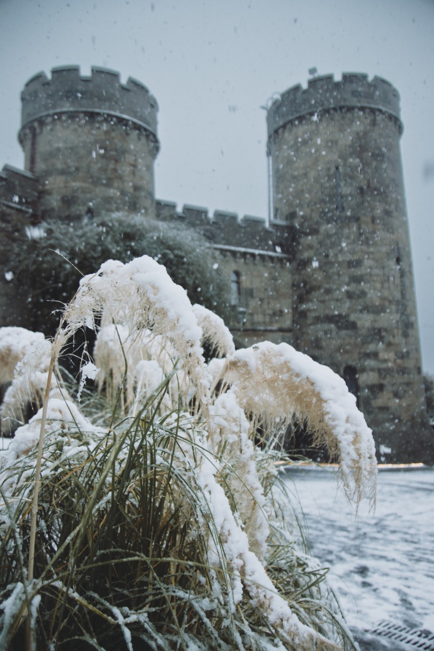 Подробнее о статье Уважаемые посетители !