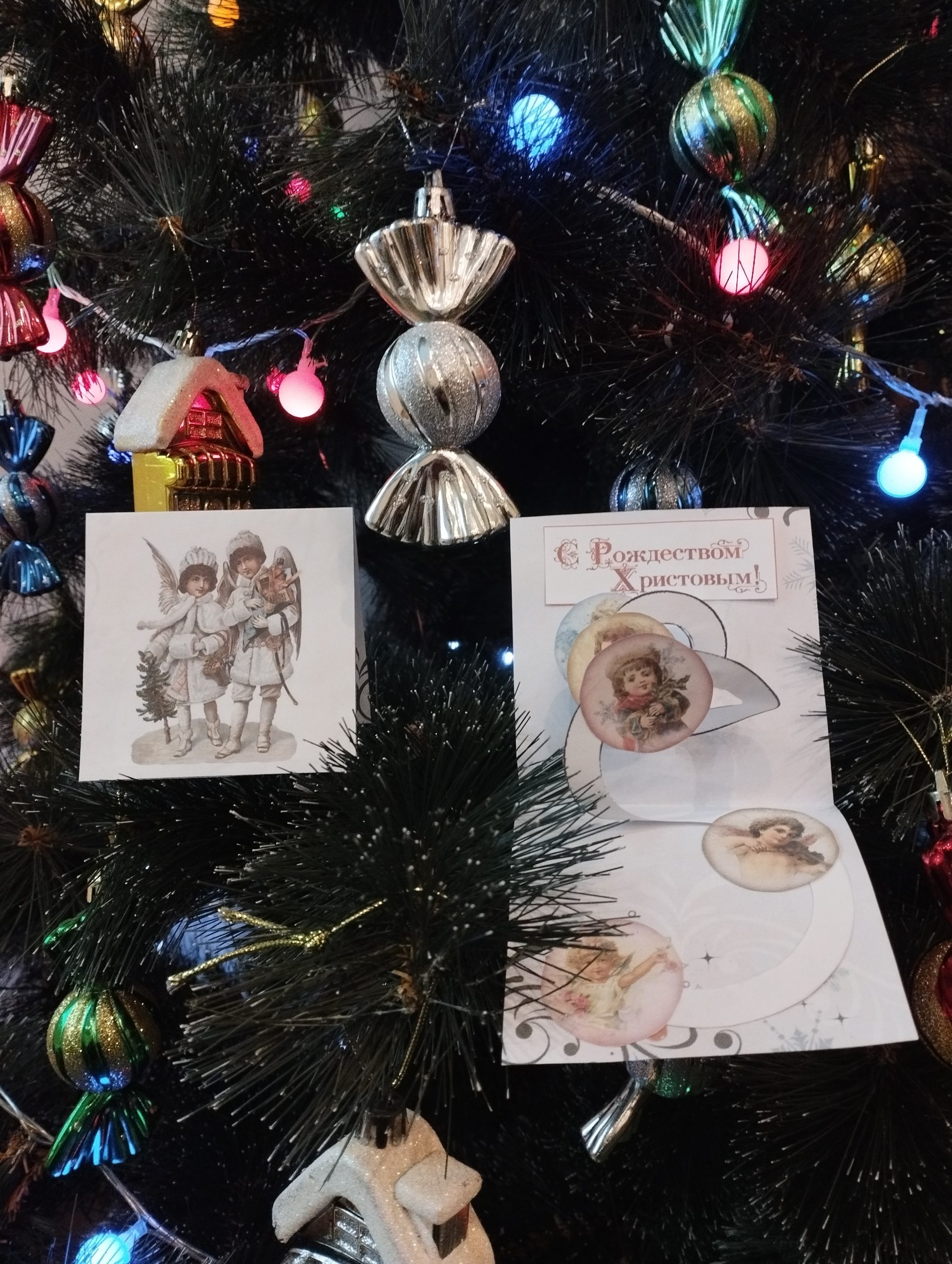 Подробнее о статье Массандровский дворец продолжает делиться рождественским настроением!