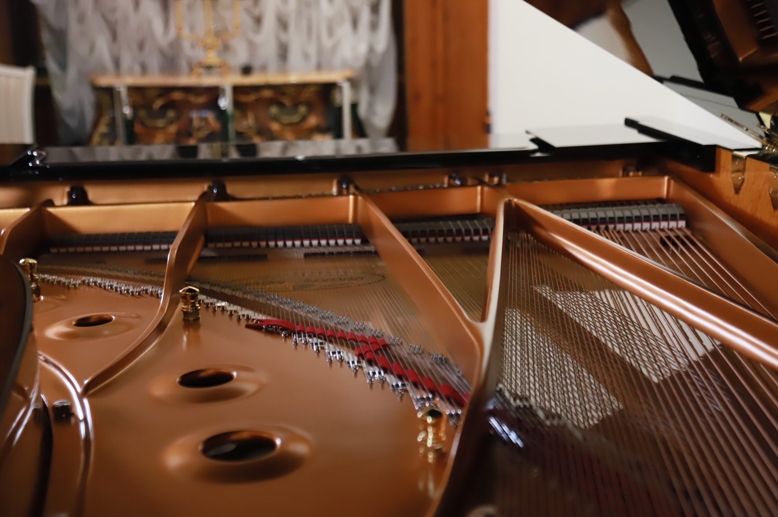 Подробнее о статье «Музыкальная сборная России»: Вечер высокого романтизма в стенах Воронцовского дворца